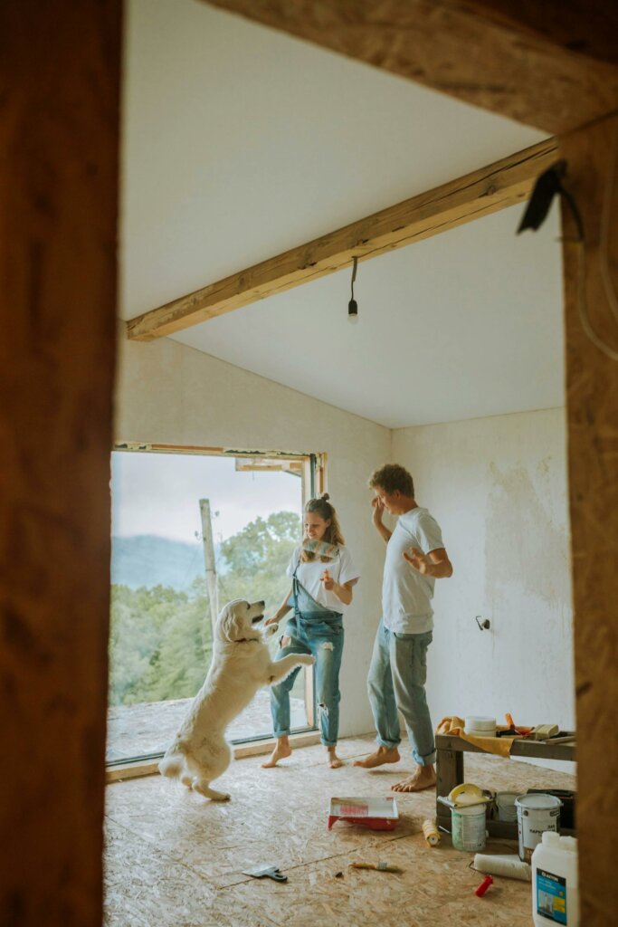 craie-craie-article-renovation